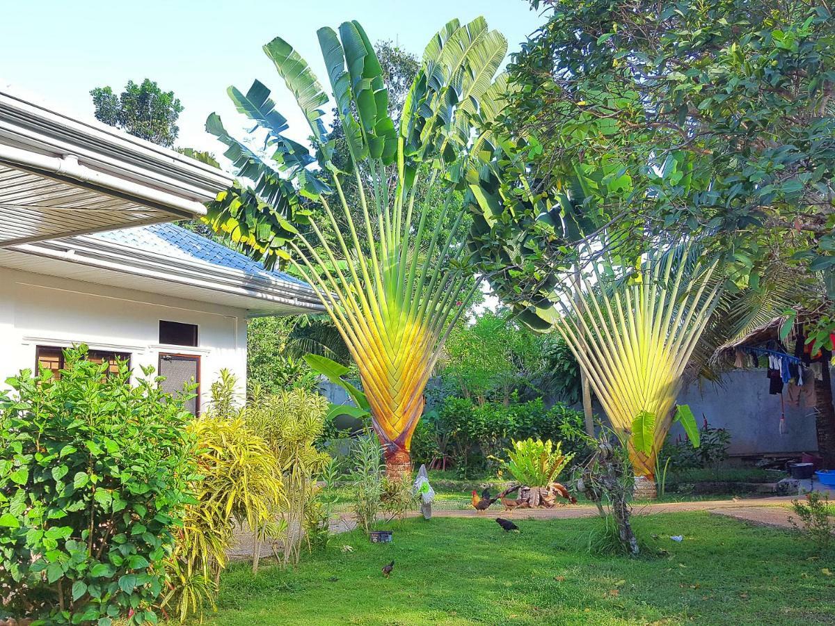 Mj Room Rental Panglao Island Exterior photo